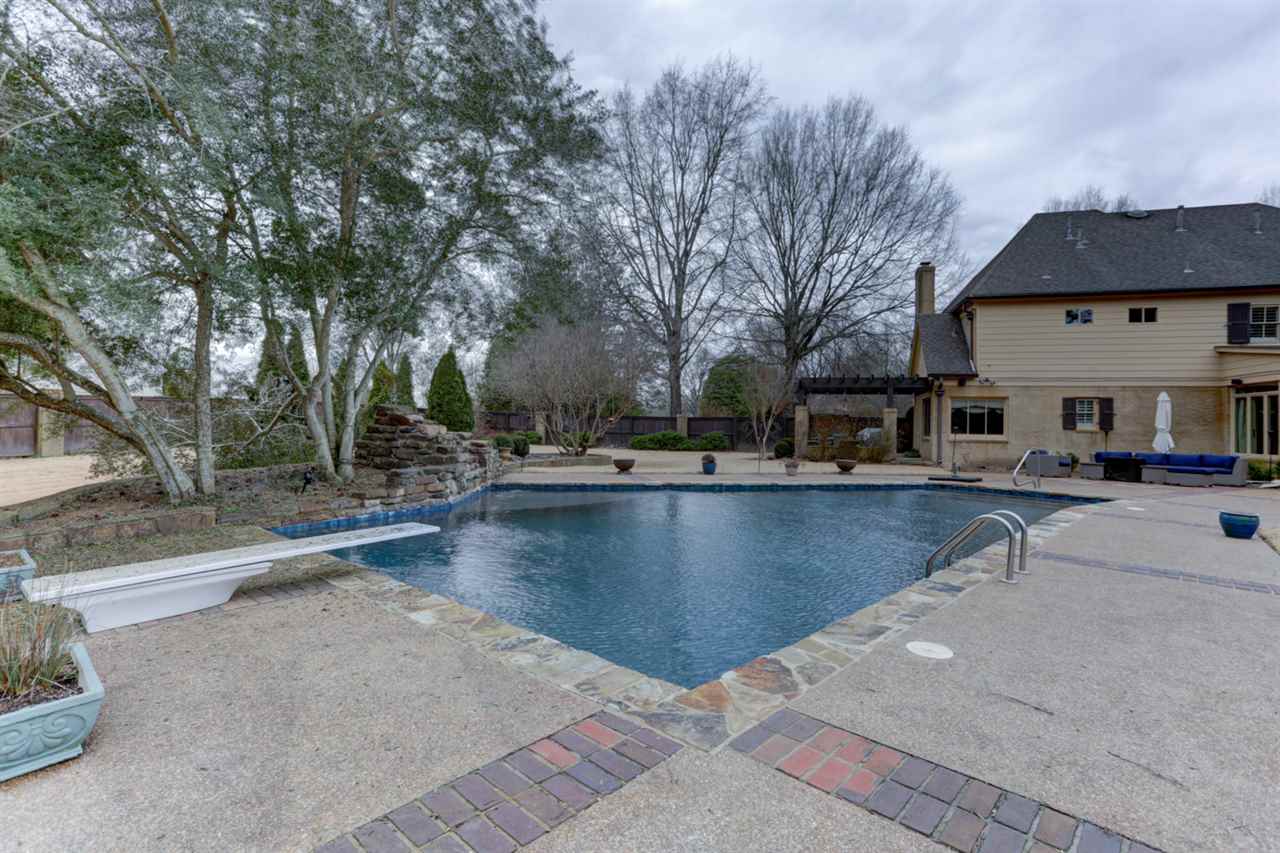 2420 Johnson Road Germantown, TN 38139 - Photo 6 of 25 Another view of the pool and patio