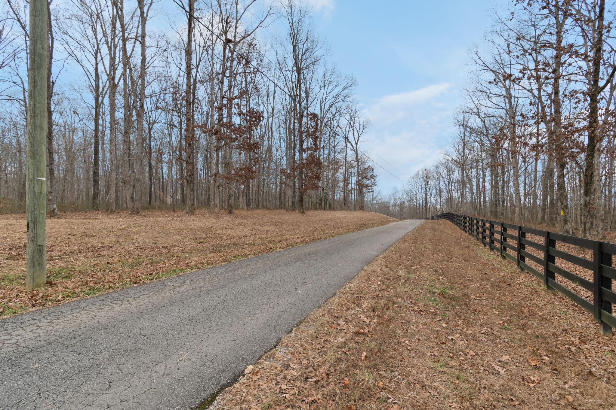 6000 Garrison Springs Road Franklin, TN 37064 - Photo 1 of 37 a view of a backyard of the house