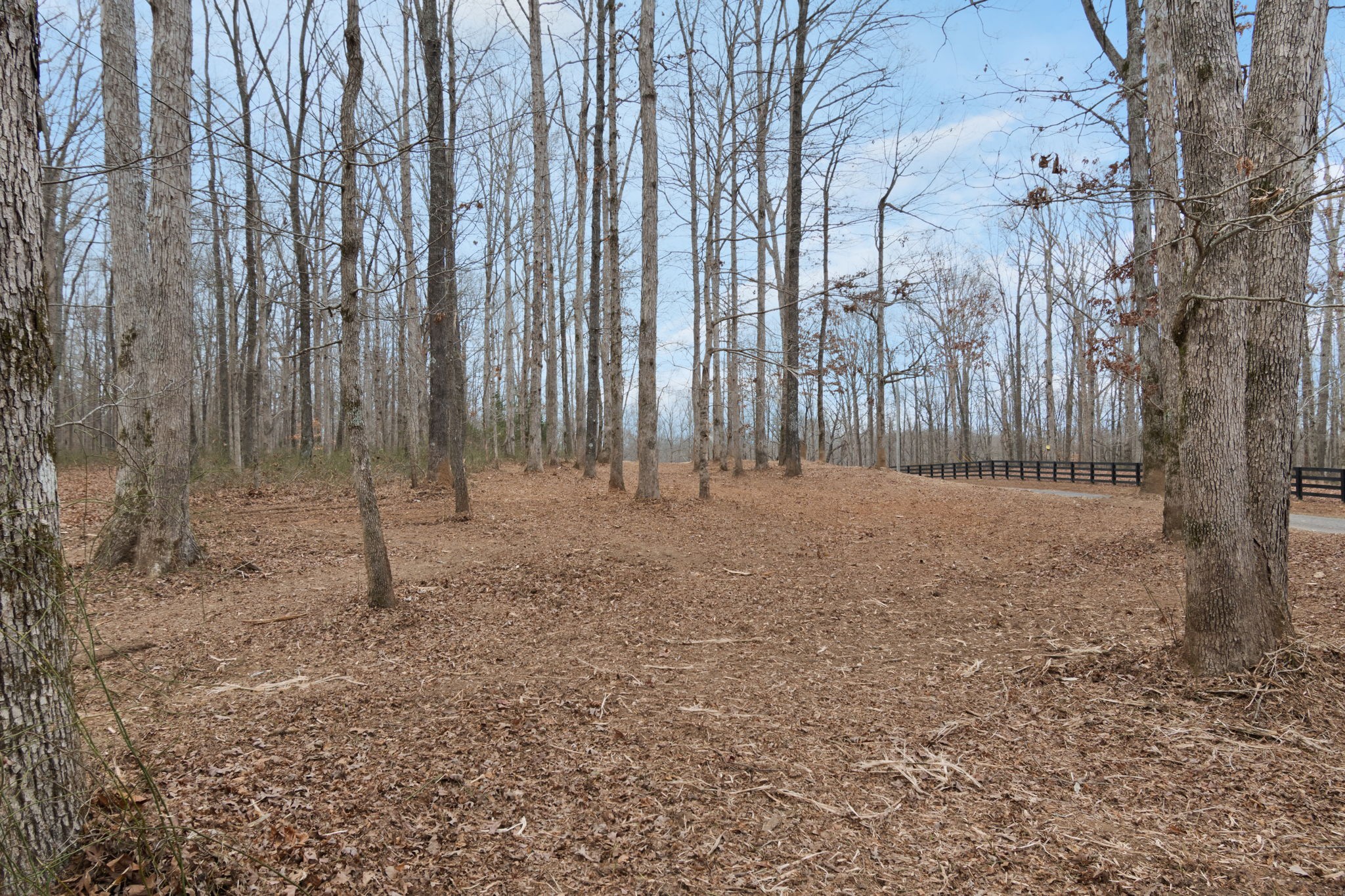 6000 Garrison Springs Road Franklin, TN 37064 - Photo 13 of 37 a view of room with trees