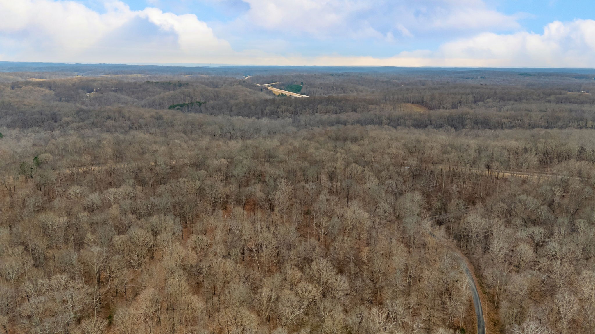 6000 Garrison Springs Road Franklin, TN 37064 - Photo 16 of 37 a view of a dry space with lots of trees in the background