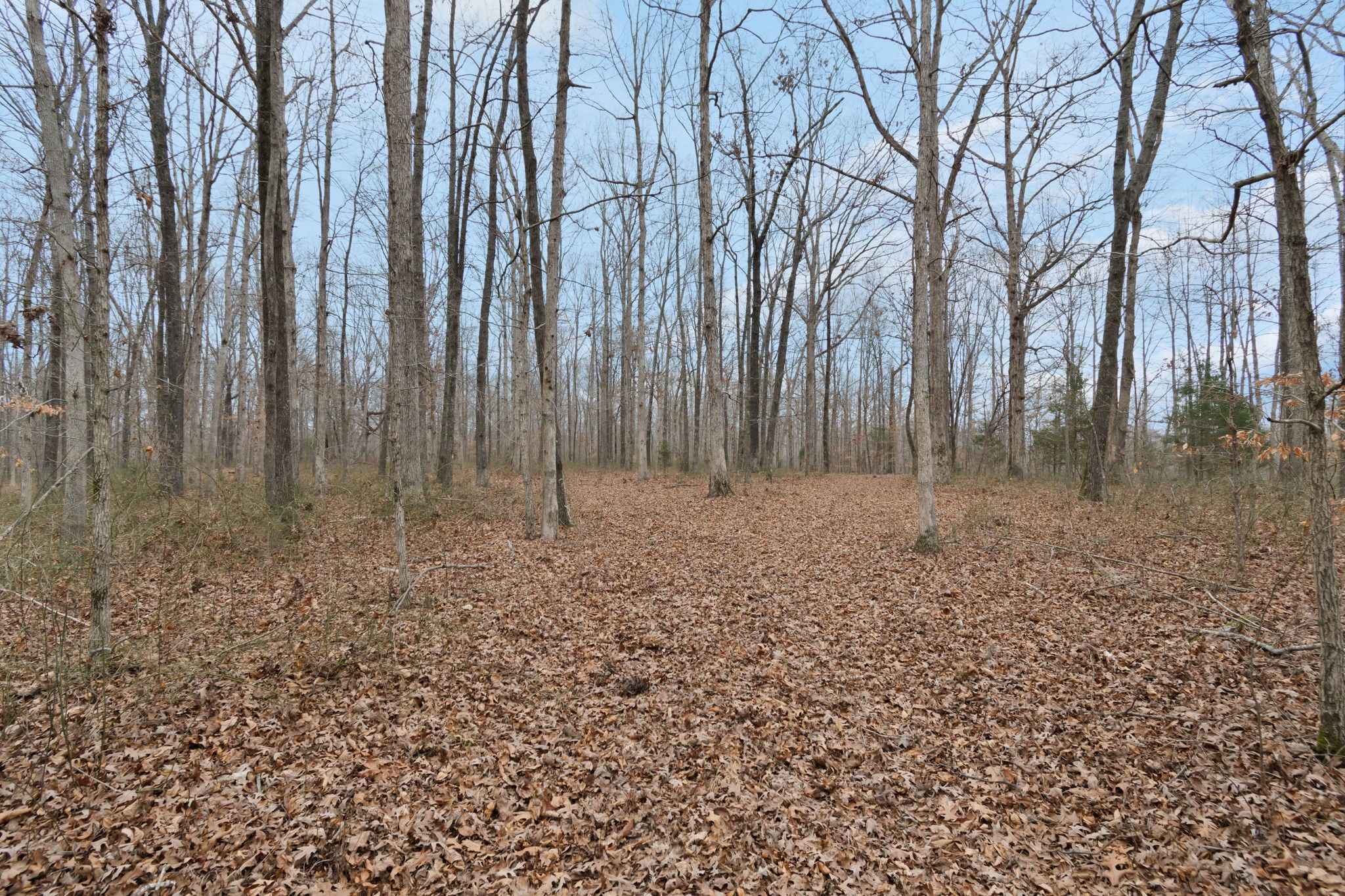 6000 Garrison Springs Road Franklin, TN 37064 - Photo 17 of 37 a view of outdoor space with wooden fence
