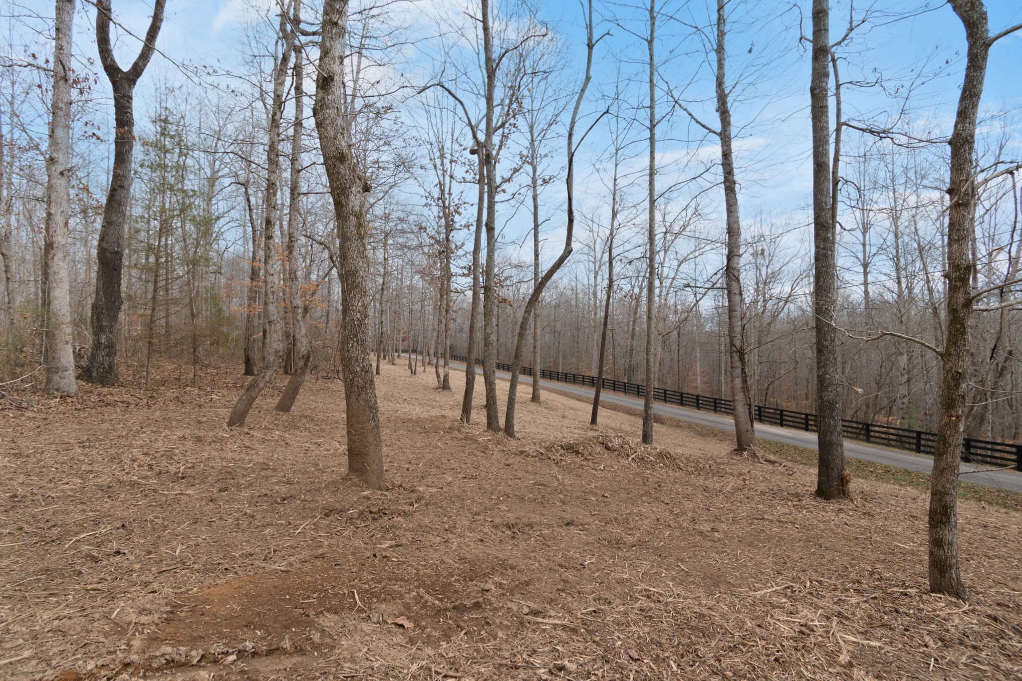 6000 Garrison Springs Road Franklin, TN 37064 - Photo 2 of 37 a view of outdoor space with a tree