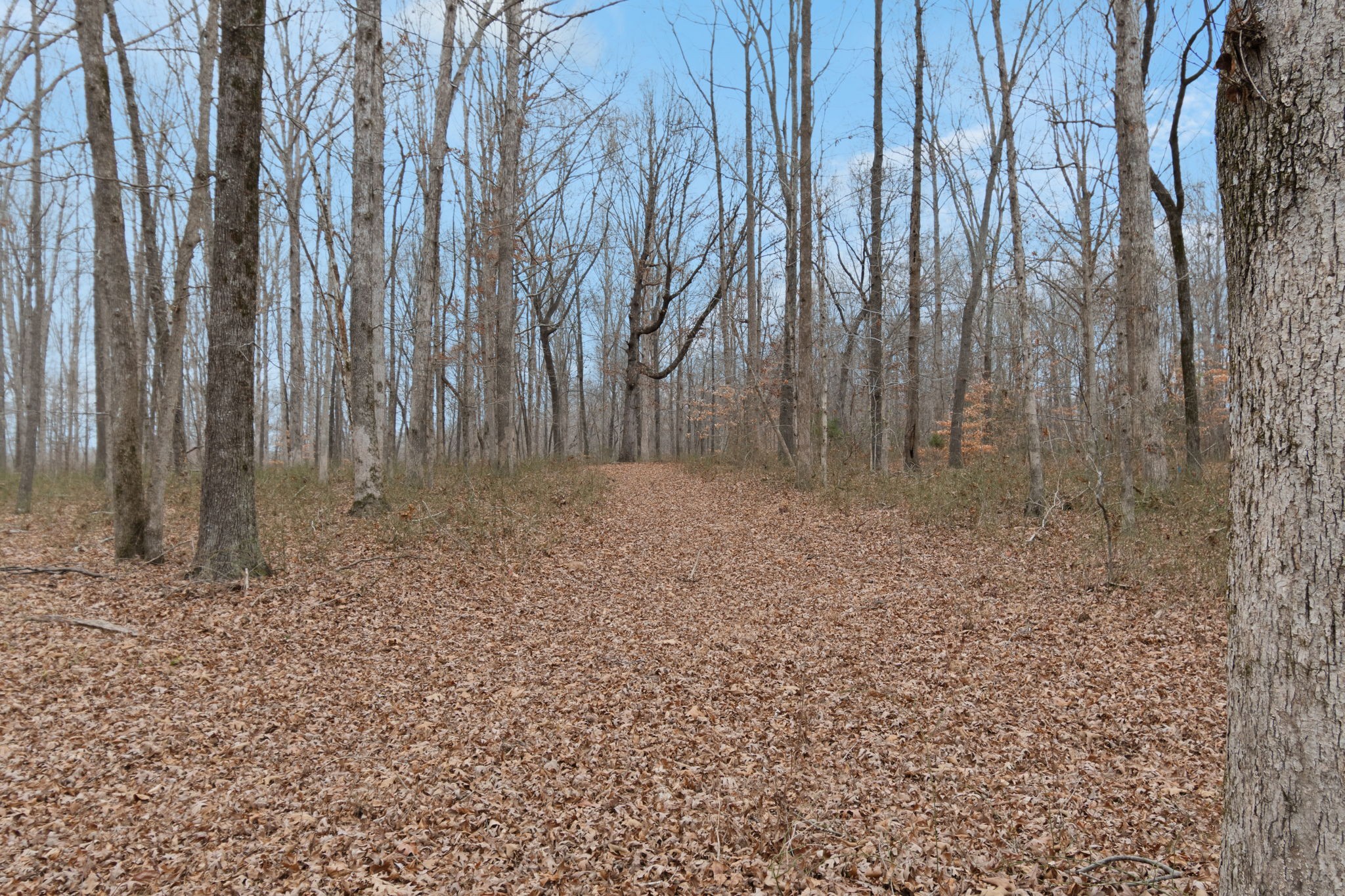 6000 Garrison Springs Road Franklin, TN 37064 - Photo 27 of 37 a view of small space with wooden fence