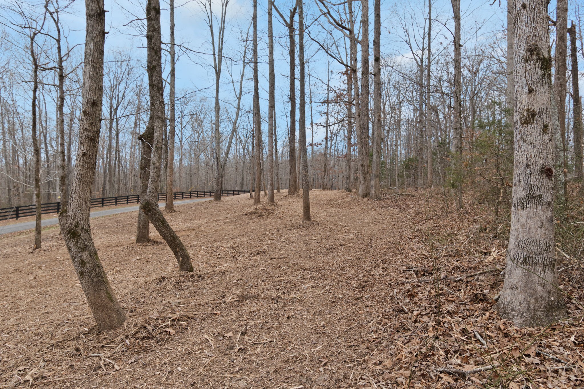 6000 Garrison Springs Road Franklin, TN 37064 - Photo 28 of 37 a backyard of a house with lots of green space