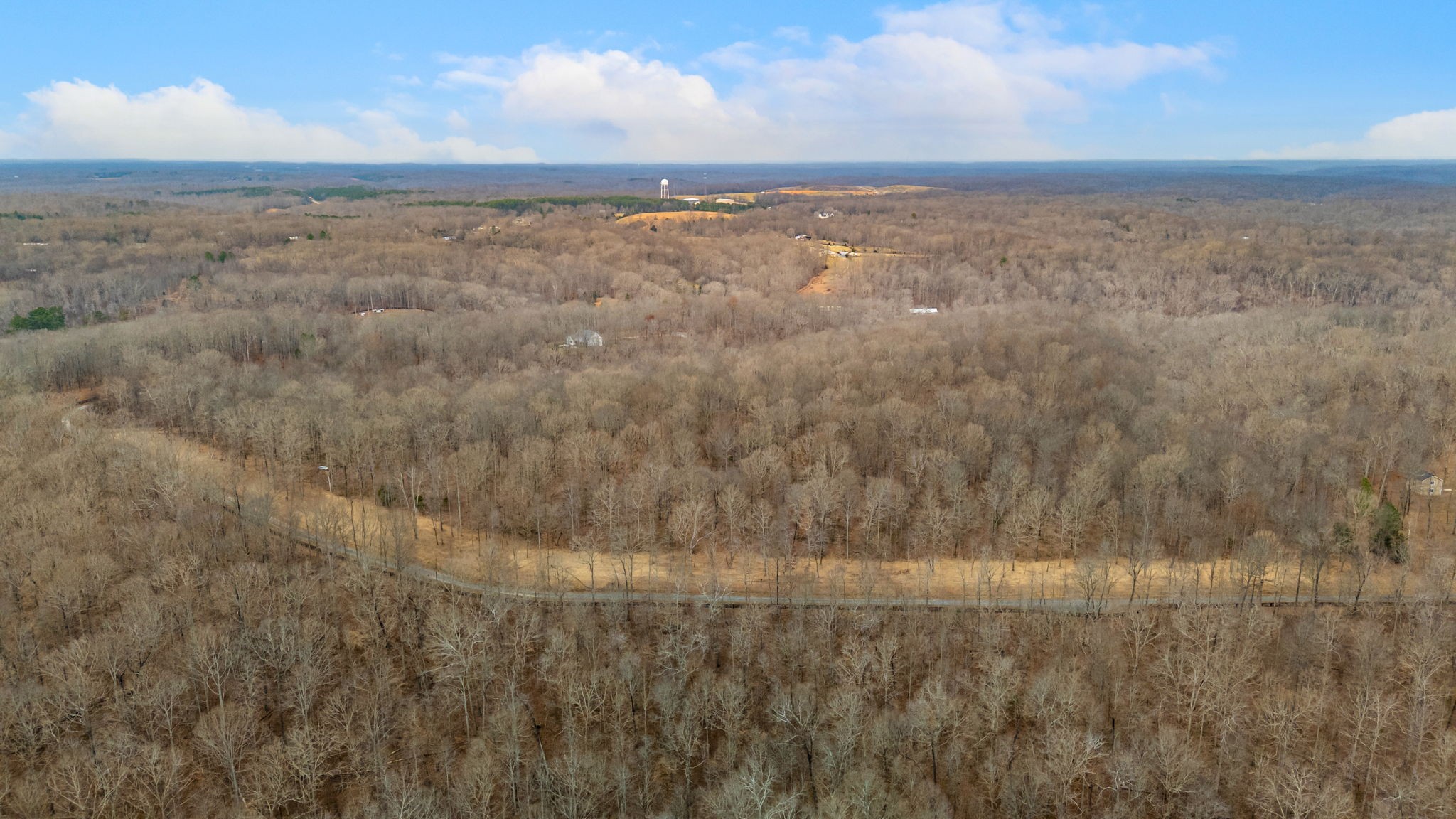 6000 Garrison Springs Road Franklin, TN 37064 - Photo 6 of 37