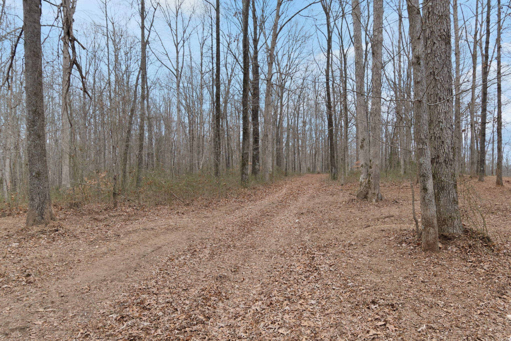 6000 Garrison Springs Road Franklin, TN 37064 - Photo 8 of 37