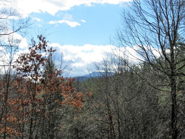 202 Great View Way Newport, TN 37821 - Photo 2 of 22 View pic from back deck