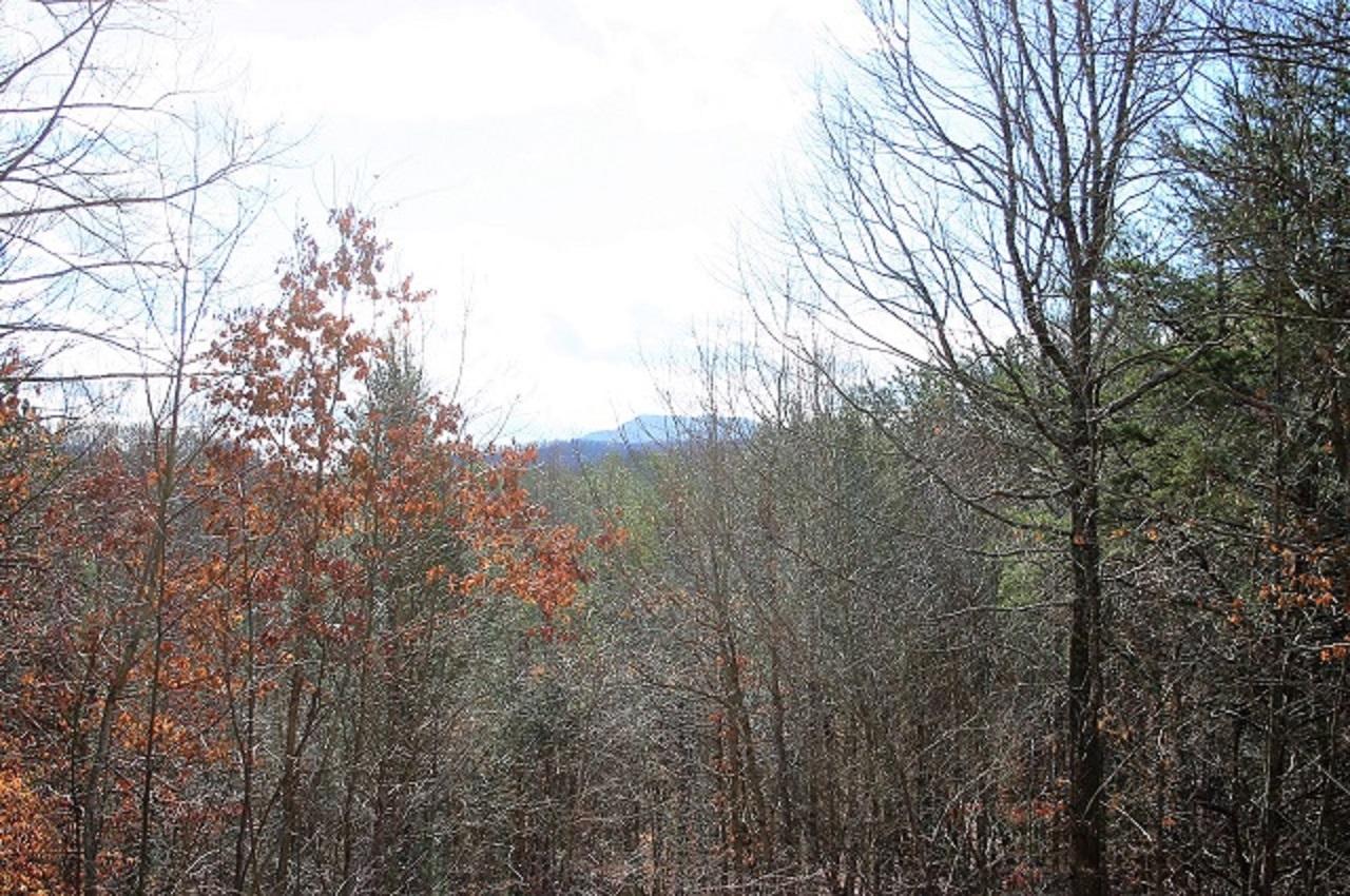 202 Great View Way Newport, TN 37821 - Photo 21 of 22 View pic