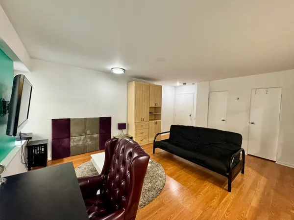 $132,000 | 40 East 9th Street, Unit 512, Chicago, IL 60605