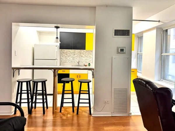 $132,000 | 40 East 9th Street, Unit 512, Chicago, IL 60605