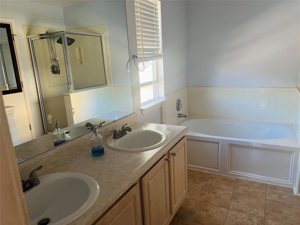 272 Tobin Drive Buda, TX 78610 - Photo 15 of 20 a bathroom with a sink and mirror with bathtub