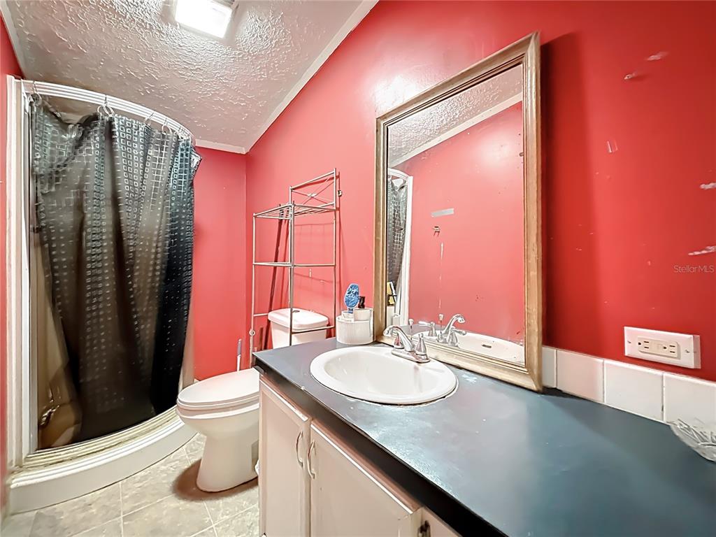 2414 Brock Road Plant City, FL 33565 - Photo 38 of 63 a bathroom with a sink a toilet and shower