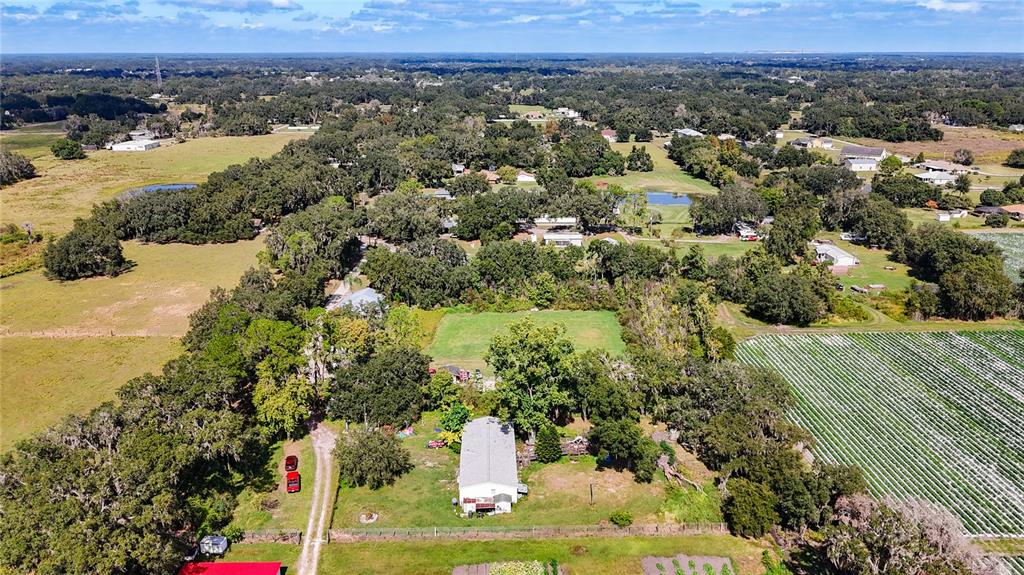 2414 Brock Road Plant City, FL 33565 - Photo 61 of 63