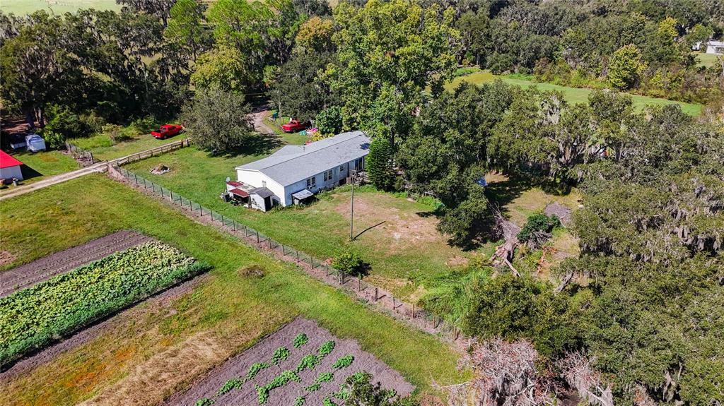 2414 Brock Road Plant City, FL 33565 - Photo 63 of 63 a garden view with a tree