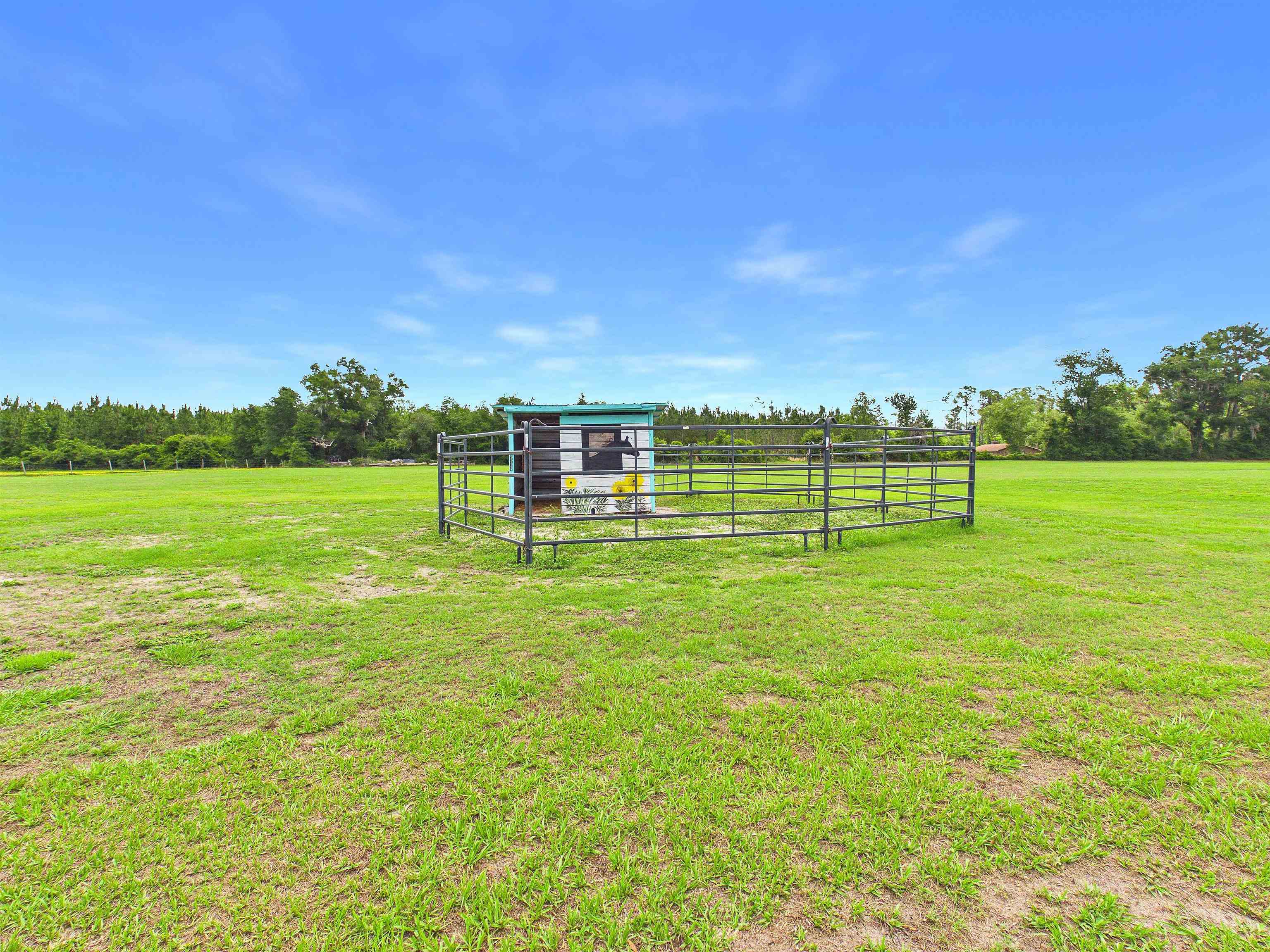 4764 Southwest Fellowship Road Greenville, FL 32331 - Photo 35 of 70