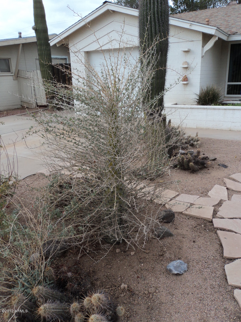 8202 East Granada Road Scottsdale, AZ 85257 - Photo 2 of 19 DSC02861