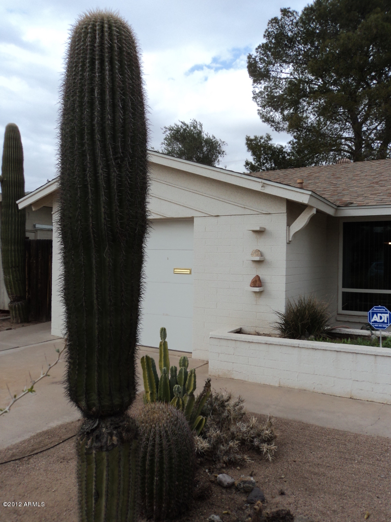 8202 East Granada Road Scottsdale, AZ 85257 - Photo 5 of 19 DSC02866