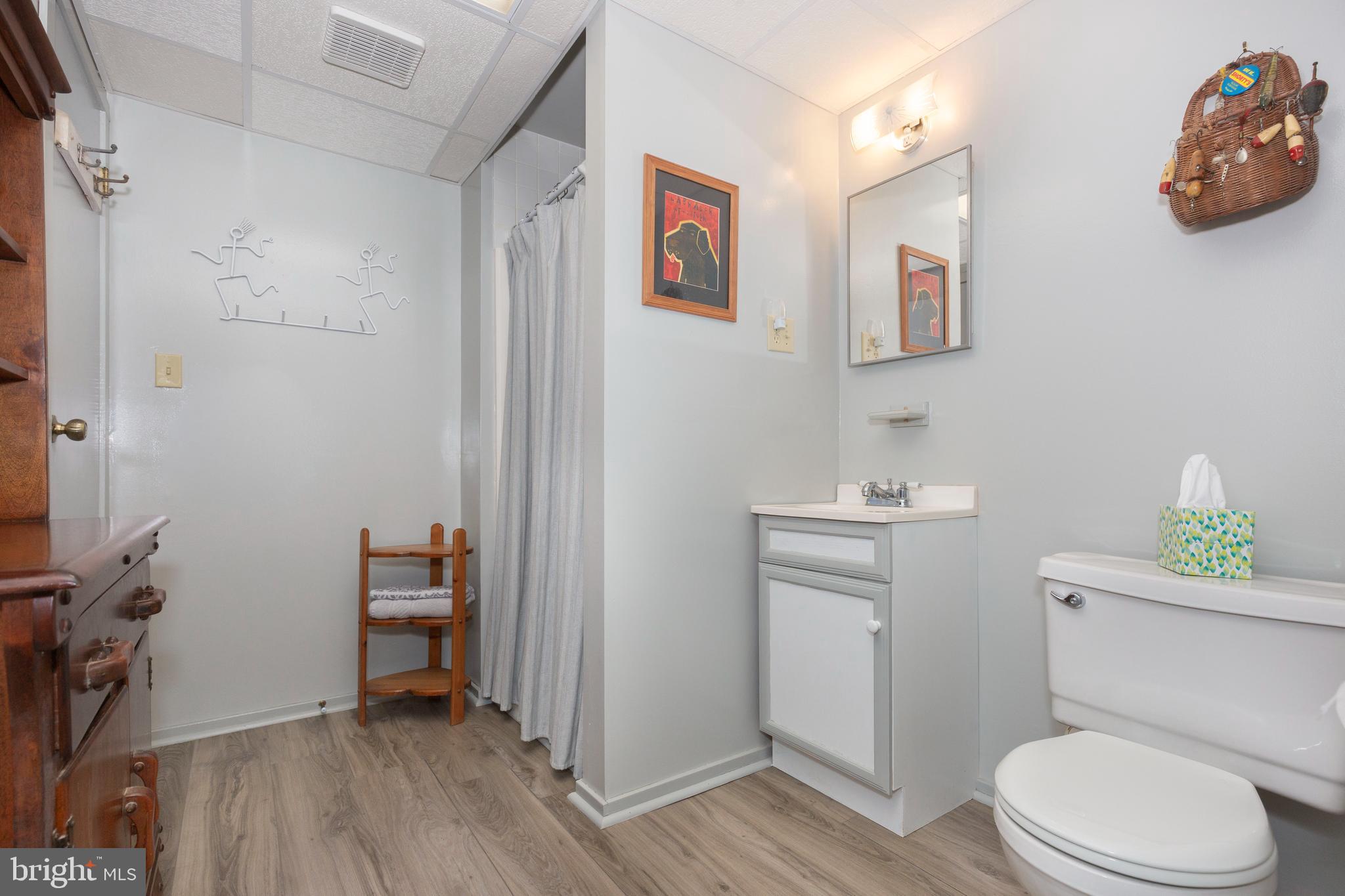 385 Silver Run Valley Road Westminster, MD 21158 - Photo 55 of 59 a bathroom with a toilet a sink and wooden floor