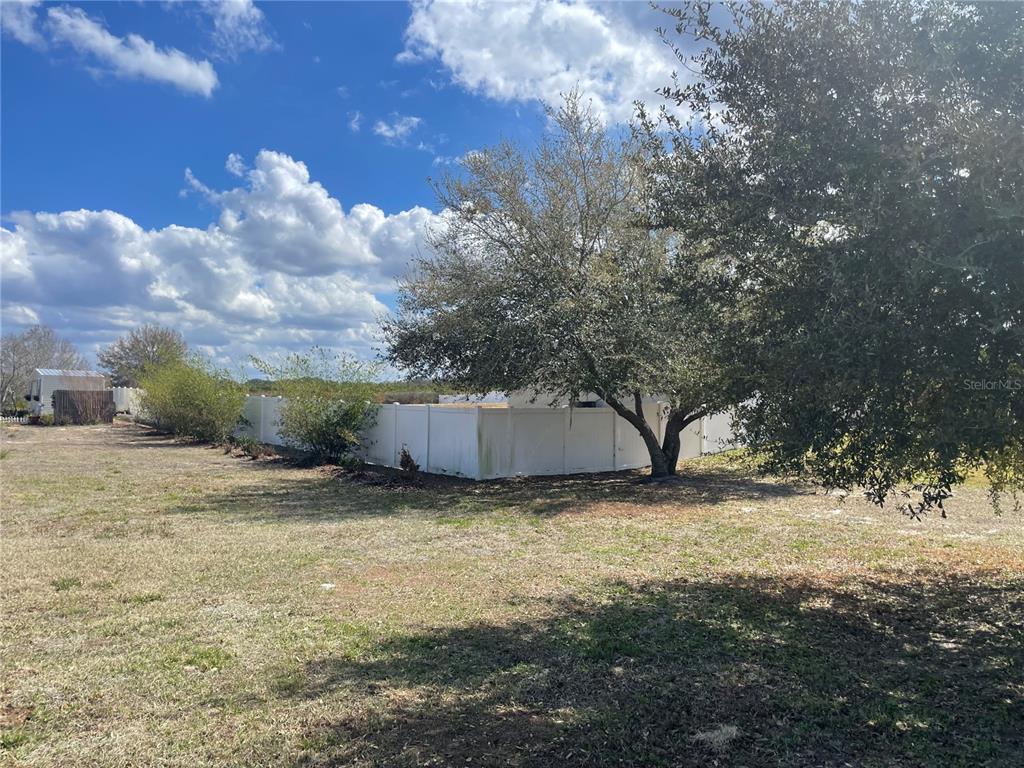 33 Deer Road Frostproof, FL 33843 - Photo 8 of 64 a view of a yard with a tree