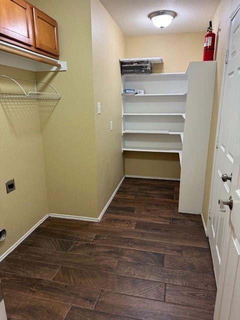 8353 Riversprings Drive Fort Worth, TX 76053 - Photo 20 of 20 Walk in closet featuring dark wood-style flooring
