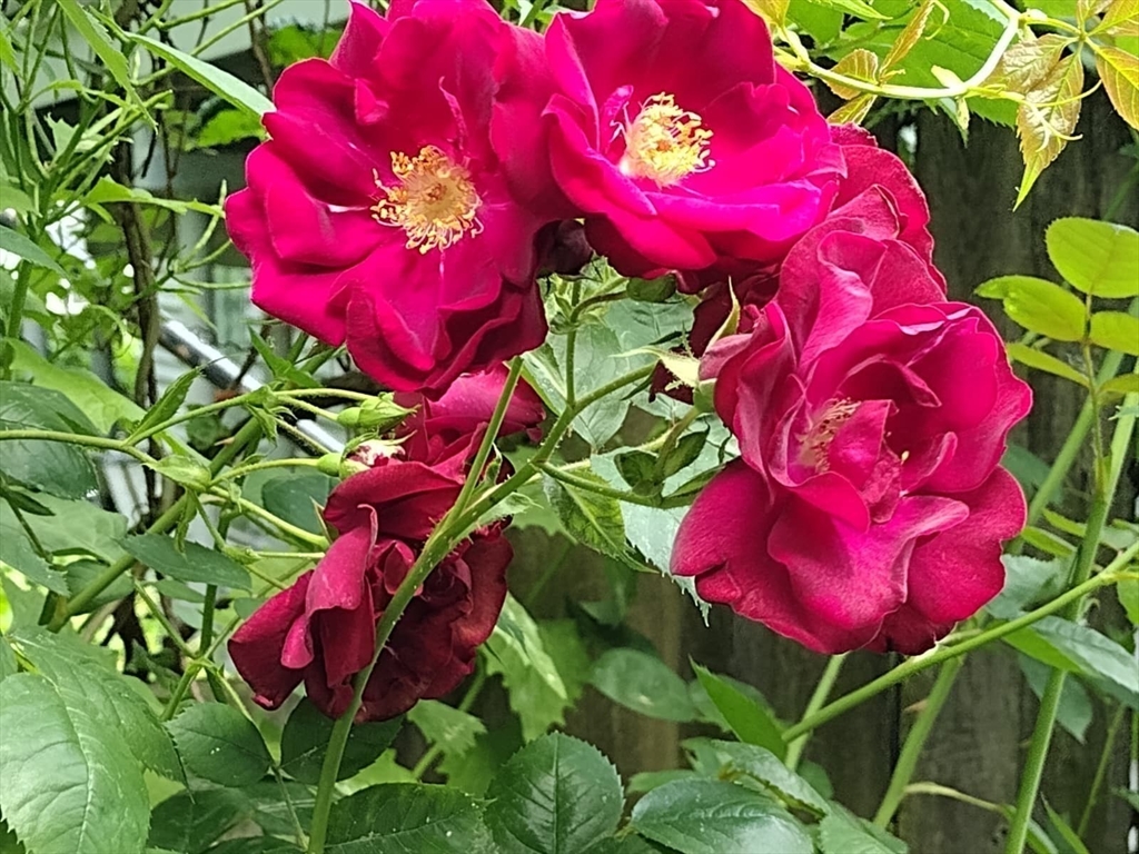 150 Webster Avenue, Unit 3 Chelsea, MA 02150 - Photo 19 of 32