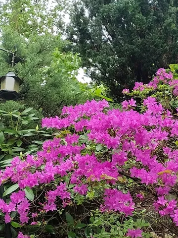 $485,000 | 150 Webster Avenue, Unit 3, Chelsea, MA 02150