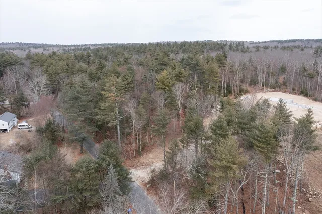 a view of a forest with a mountain view