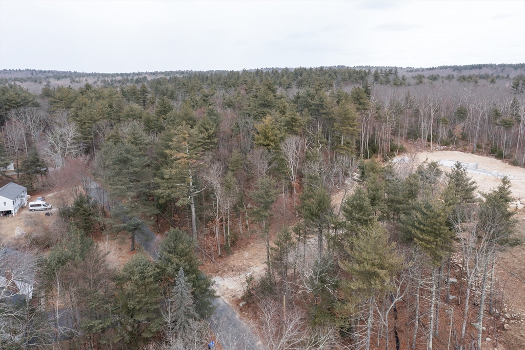 104 Vine Street Douglas, MA 01516 - Photo 2 of 8 a view of a forest with a mountain view