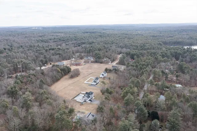 a view of a dry yard with lots of trees