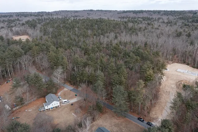 a view of a forest with a forest