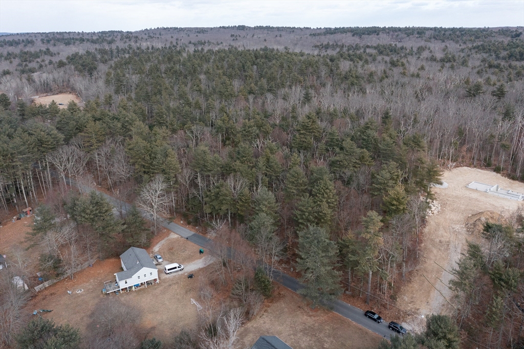 104 Vine Street Douglas, MA 01516 - Photo 8 of 8 a view of a forest with a forest