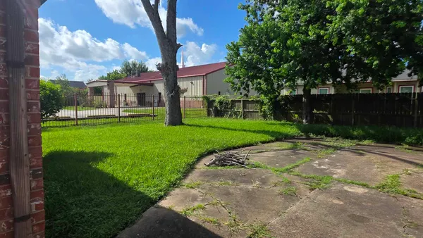 a backyard of a house with plants and large tree