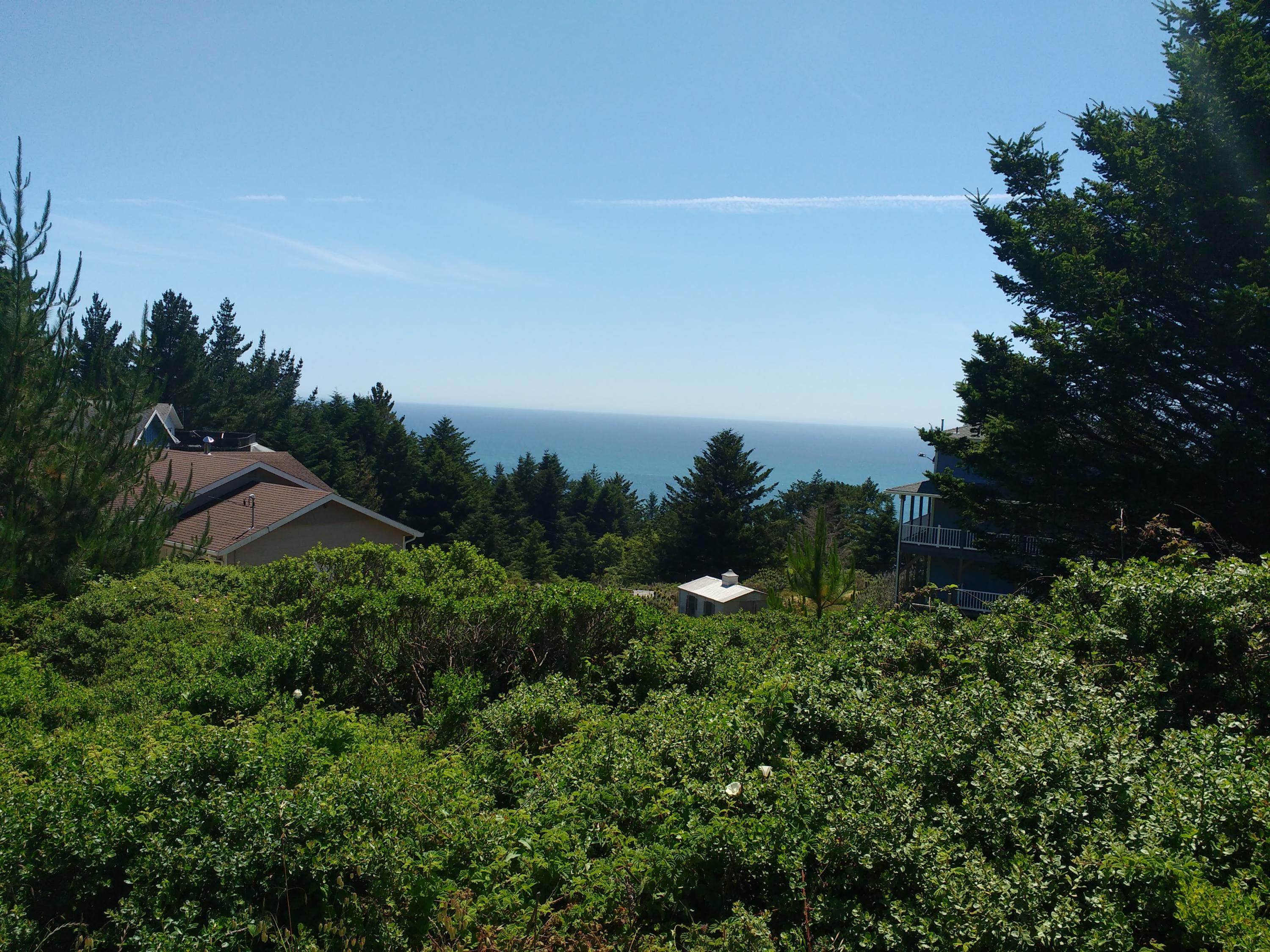 306 Nob Hill Road Whitethorn, CA 95589 - Photo 1 of 4