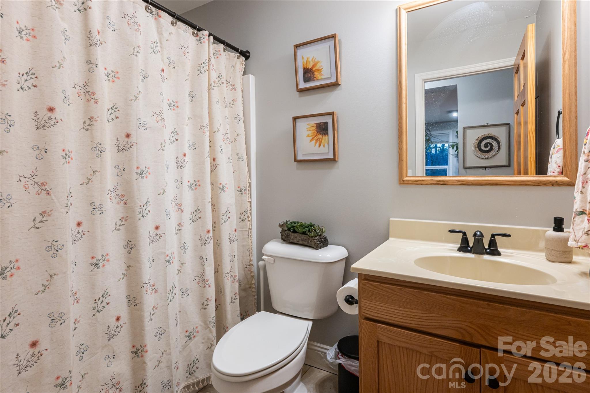 65 Owenby Road Candler, NC 28715 - Photo 31 of 48 a bathroom with a toilet a sink and a mirror