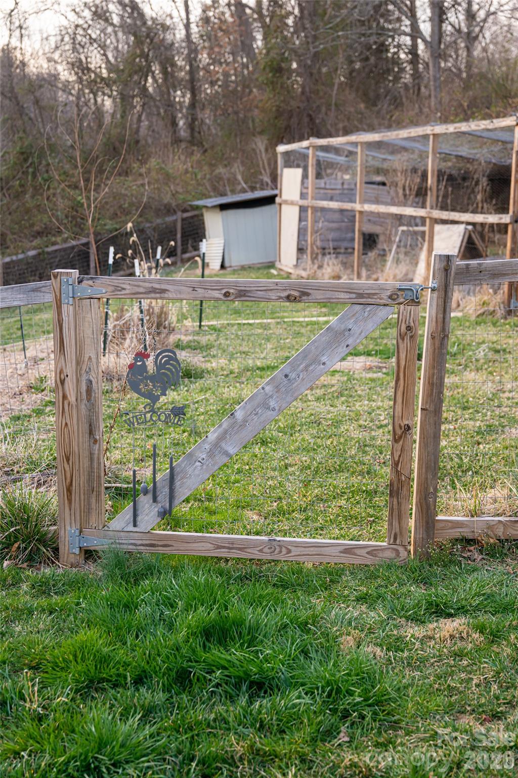 65 Owenby Road Candler, NC 28715 - Photo 38 of 48 a view of a backyard with plants and large trees