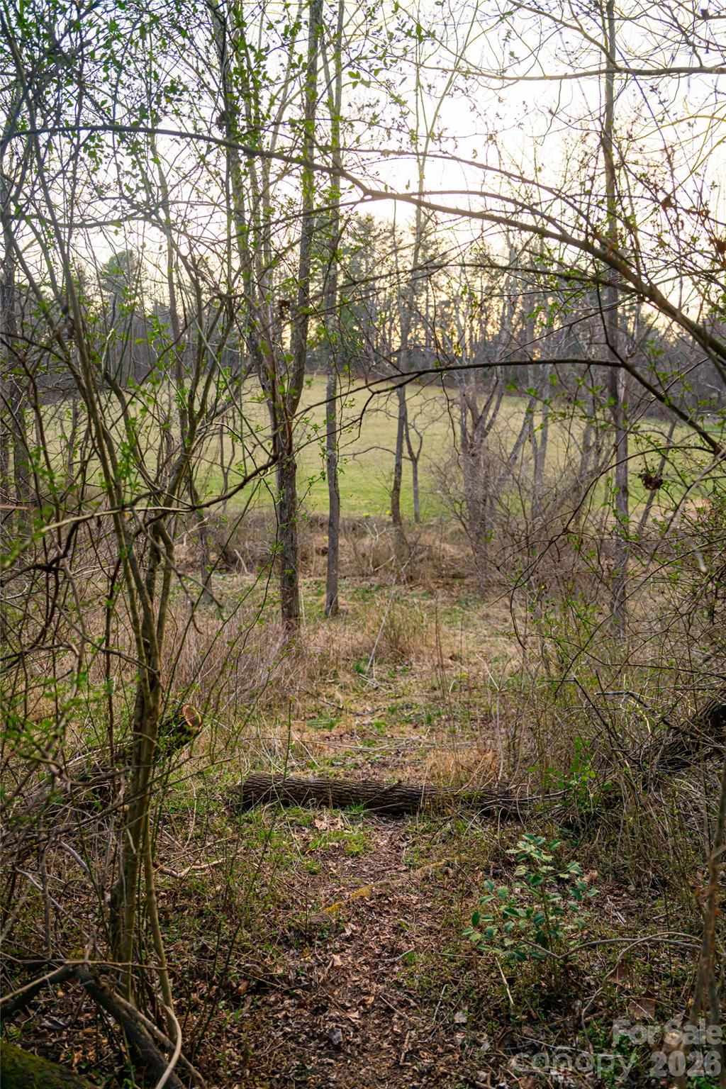 65 Owenby Road Candler, NC 28715 - Photo 43 of 48