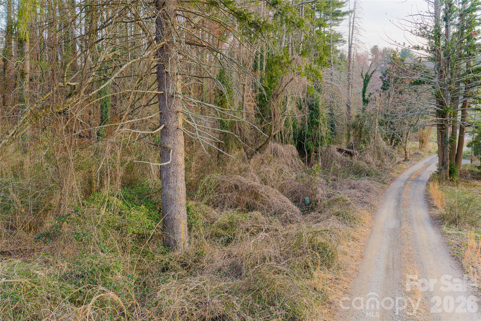 65 Owenby Road Candler, NC 28715 - Photo 46 of 48