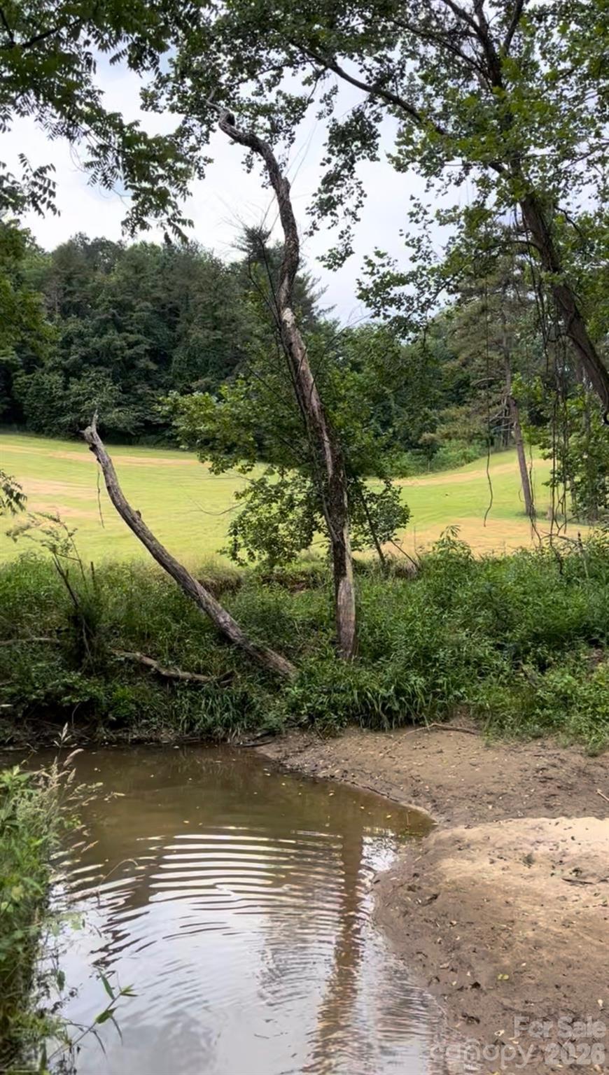 65 Owenby Road Candler, NC 28715 - Photo 47 of 48 a view of a lake view