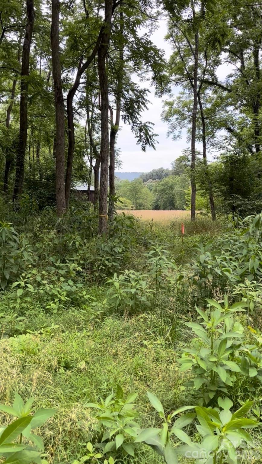 65 Owenby Road Candler, NC 28715 - Photo 48 of 48