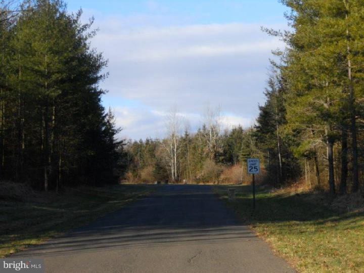 Lot 5 Evergreen Road Riegelsville, PA 18077 - Photo 1 of 9