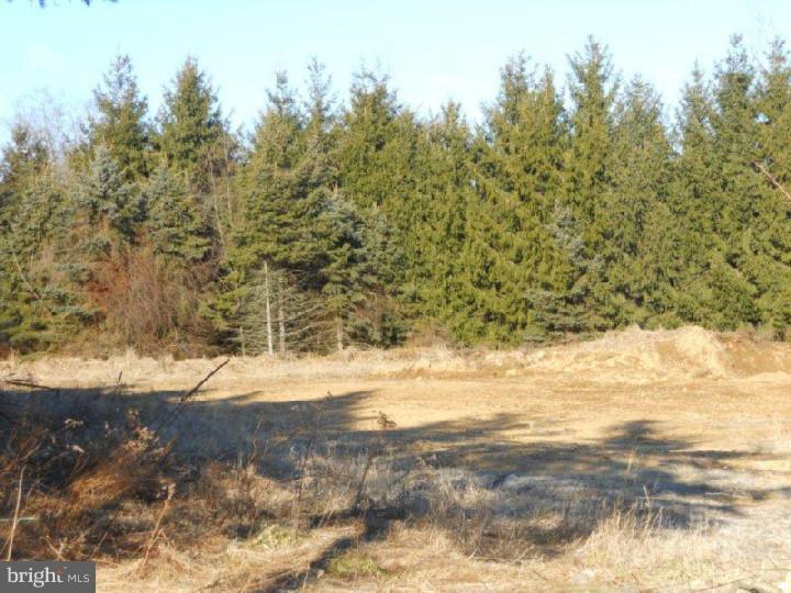 Lot 5 Evergreen Road Riegelsville, PA 18077 - Photo 2 of 9
