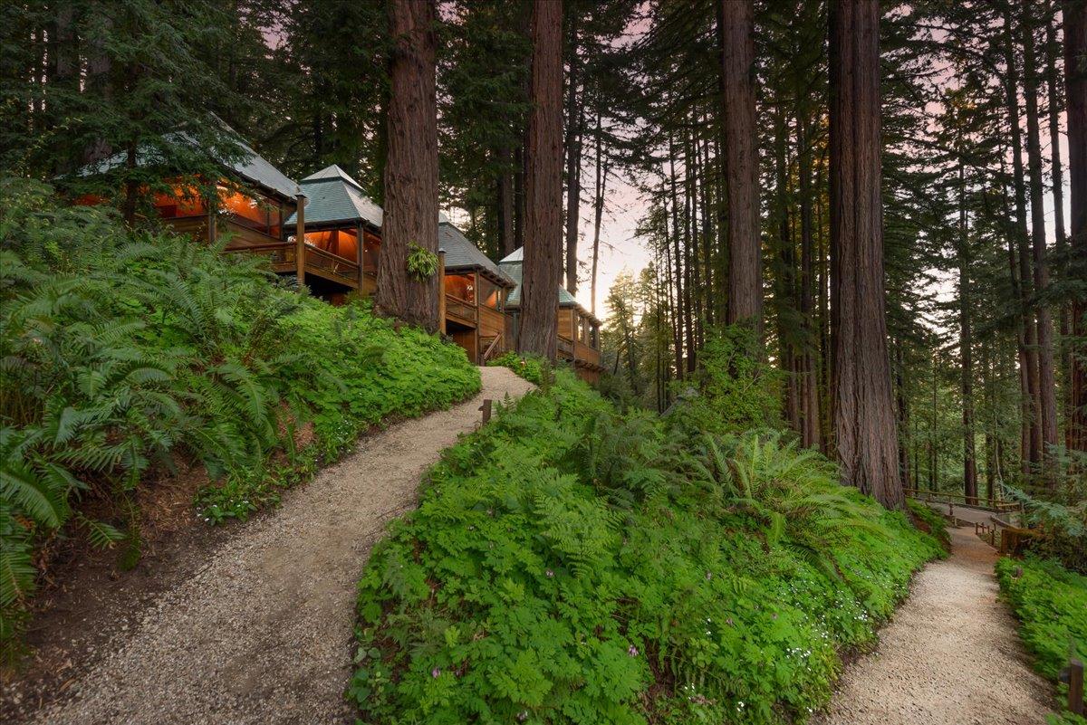 9 Summit Road Woodside, CA 94062 - Photo 37 of 38 a view of a garden with large trees