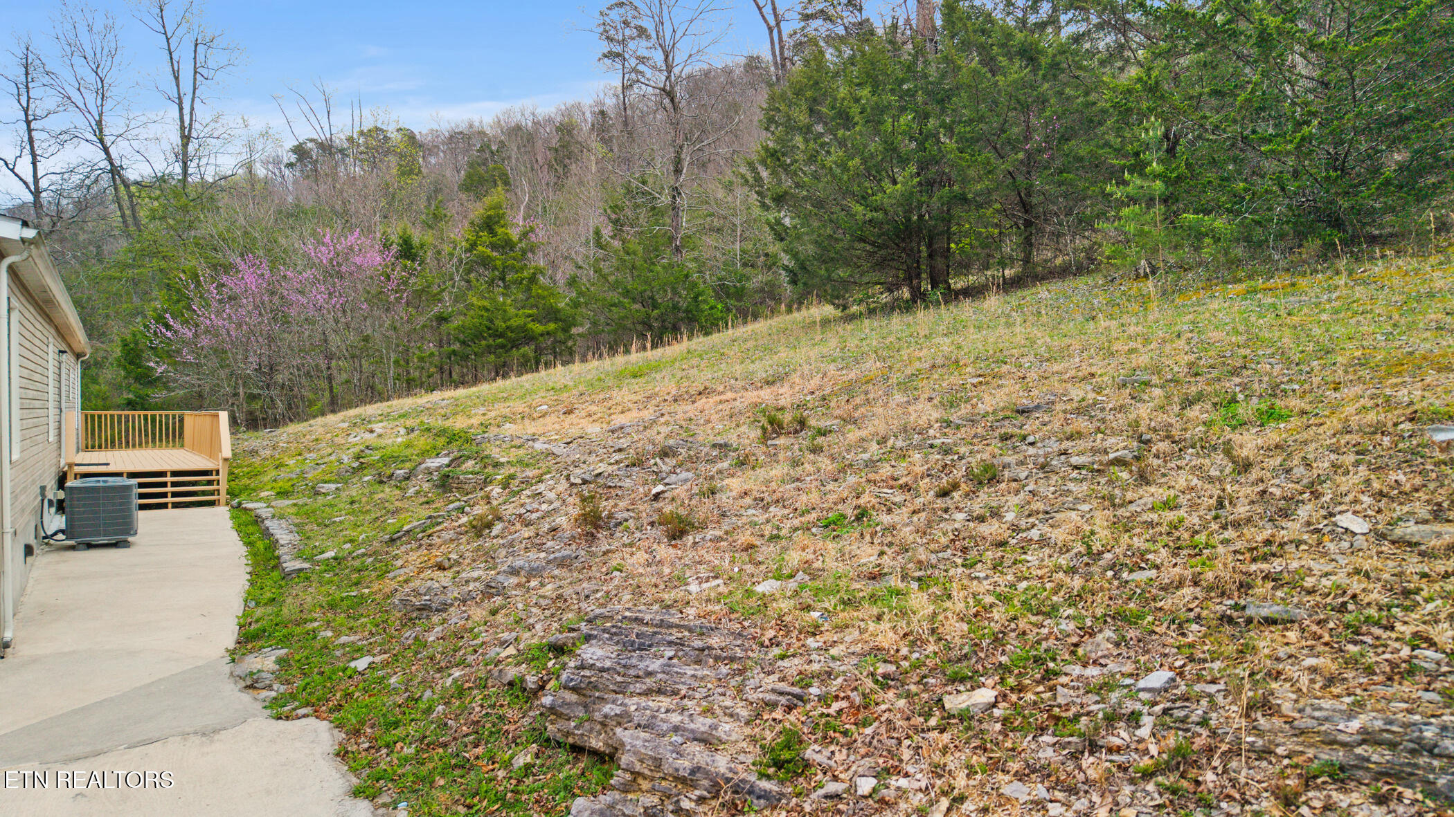 150 East Raccoon Valley Drive Heiskell, TN 37754 - Photo 34 of 36 dji_20260330101932_0618_d