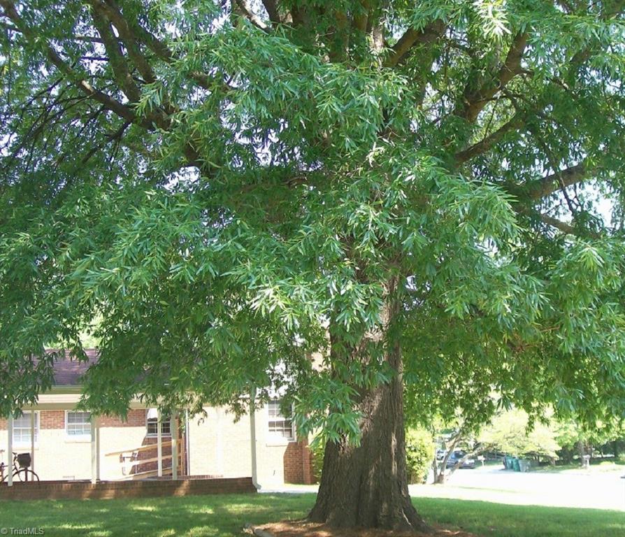 3232 Pine Needles Road High Point, NC 27265 - Photo 22 of 23