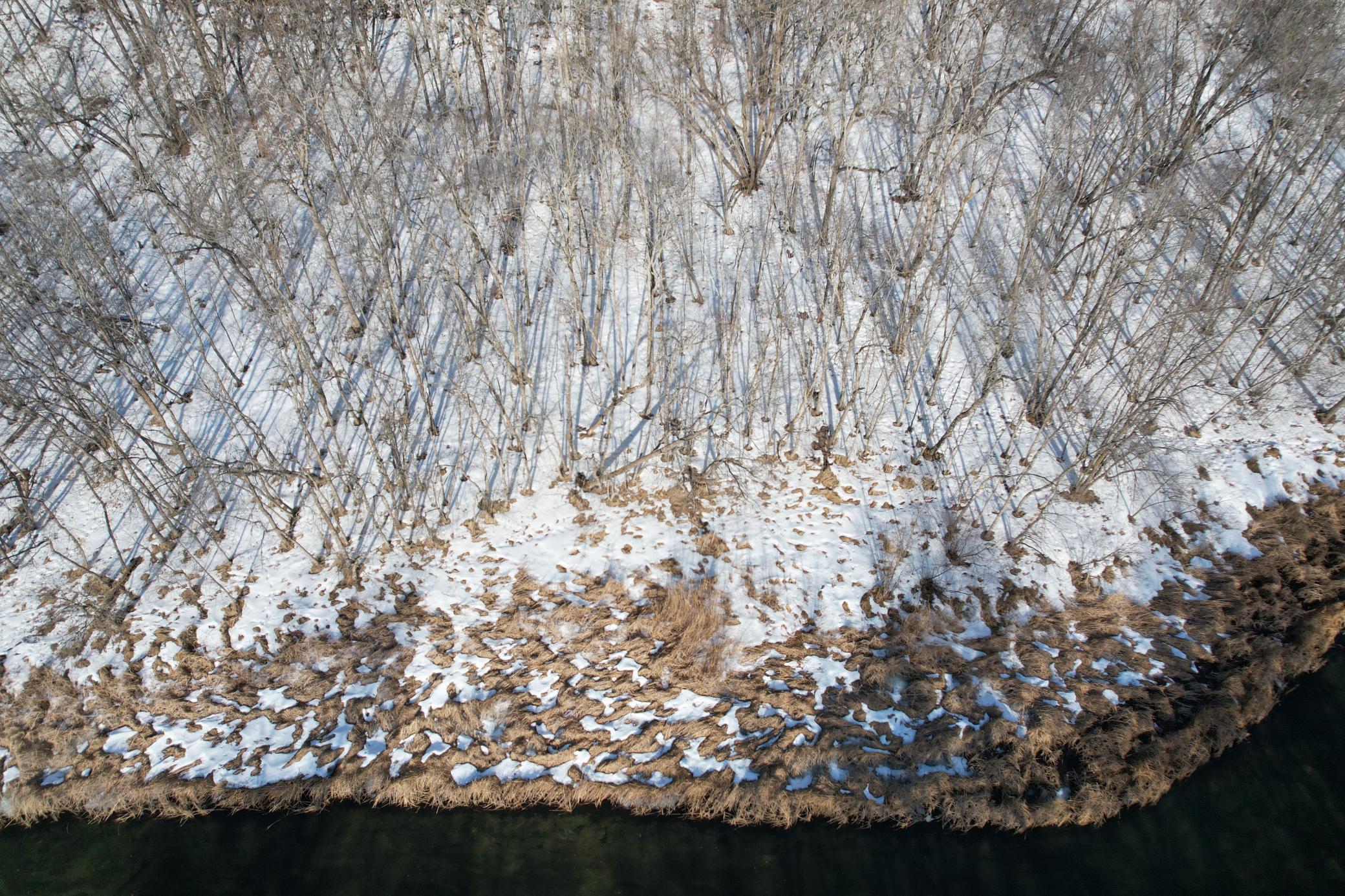 23847 Arcade Loop Menahga, MN 56464 - Photo 18 of 43