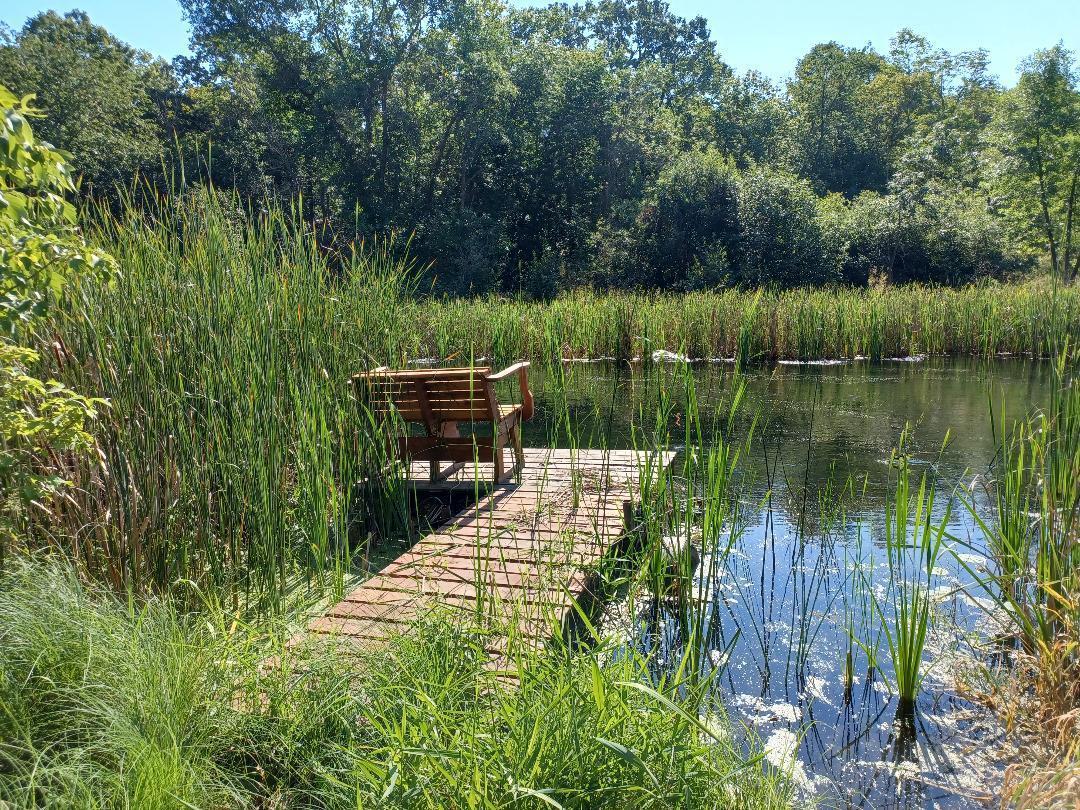 23847 Arcade Loop Menahga, MN 56464 - Photo 2 of 43