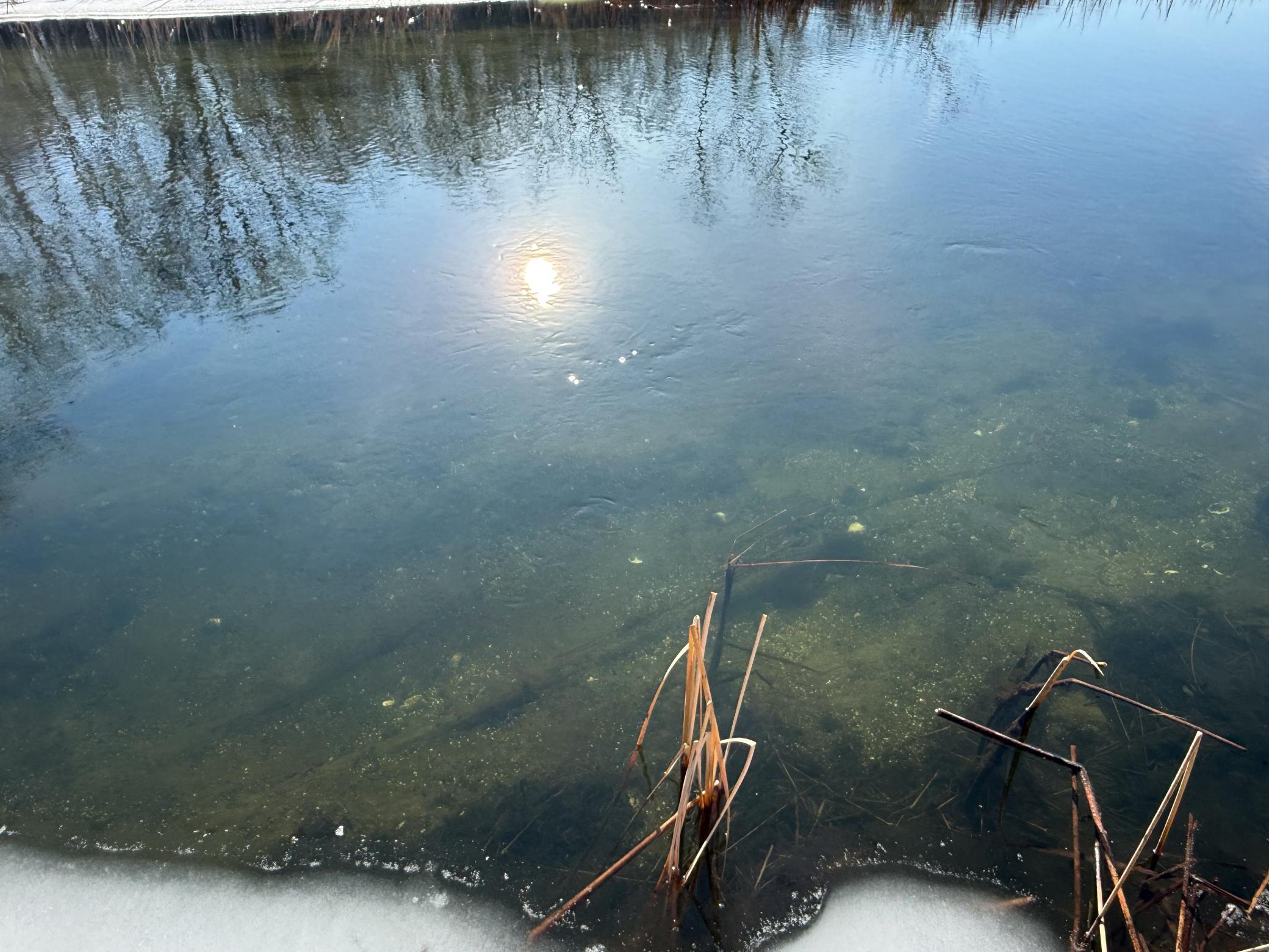 23847 Arcade Loop Menahga, MN 56464 - Photo 32 of 43