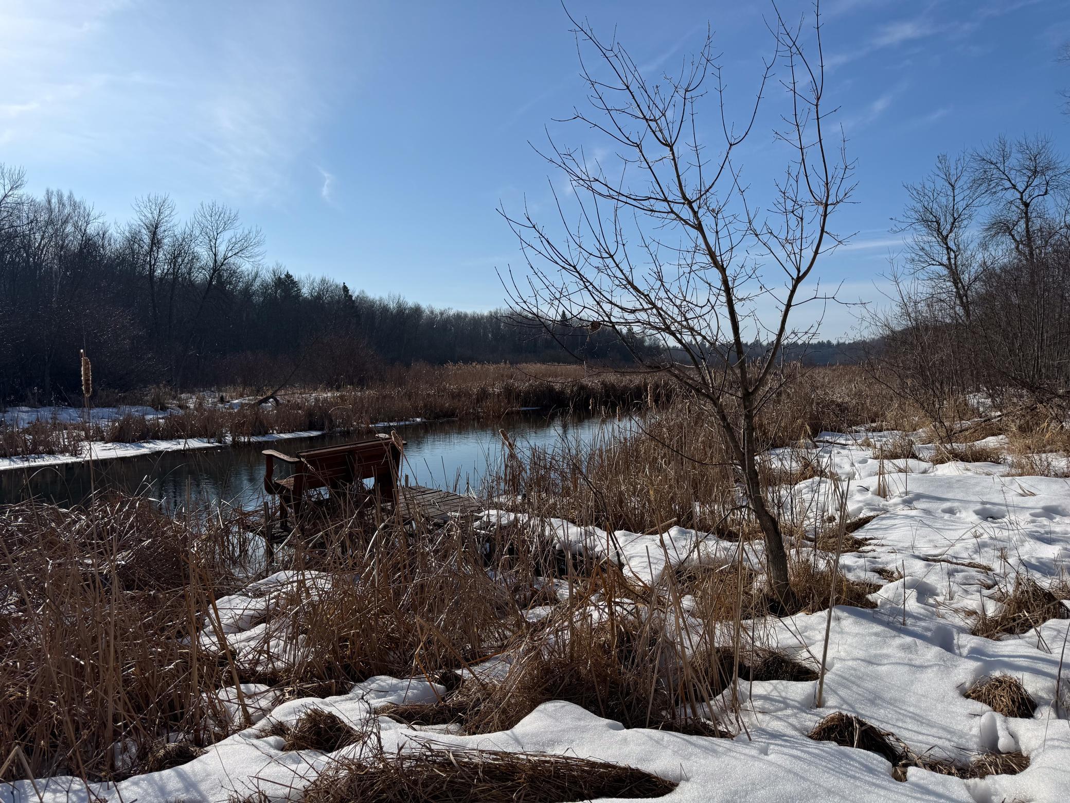 23847 Arcade Loop Menahga, MN 56464 - Photo 34 of 43
