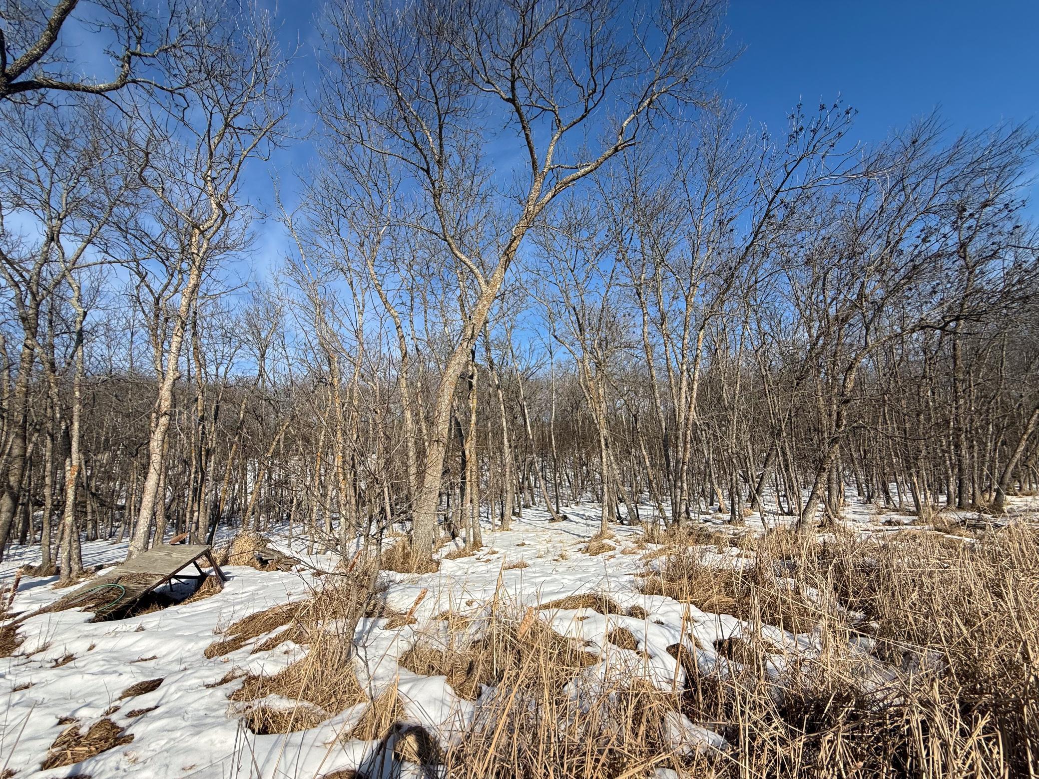 23847 Arcade Loop Menahga, MN 56464 - Photo 36 of 43