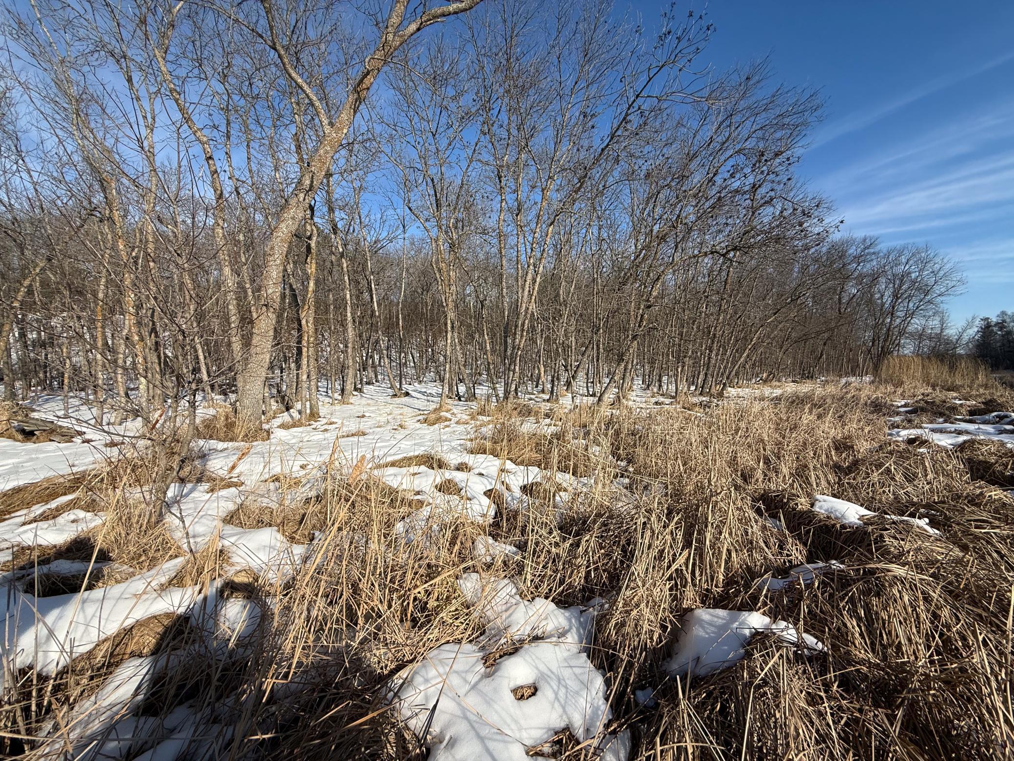 23847 Arcade Loop Menahga, MN 56464 - Photo 37 of 43
